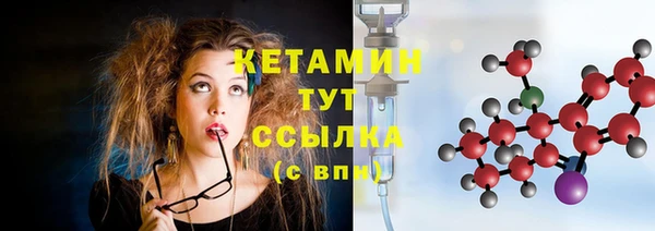 трава Арсеньев