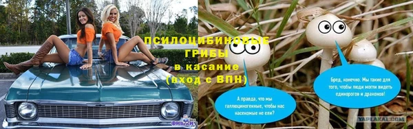 трава Арсеньев