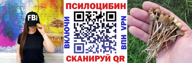 Псилоцибиновые грибы мицелий  Ишимбай 